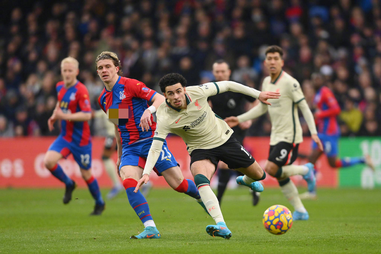 也为中国斯 也为中国斯